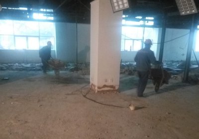 地砖柠檬视频APP官网柠檬视频黄色网站