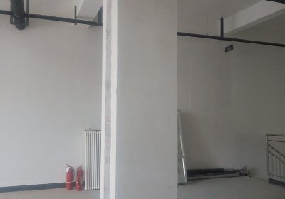 墙体柠檬视频APP官网柠檬视频黄色网站